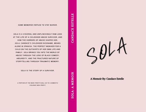 Hardcover design of the limited edition book.